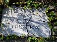 fotka